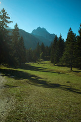 Landscape in Bavaria