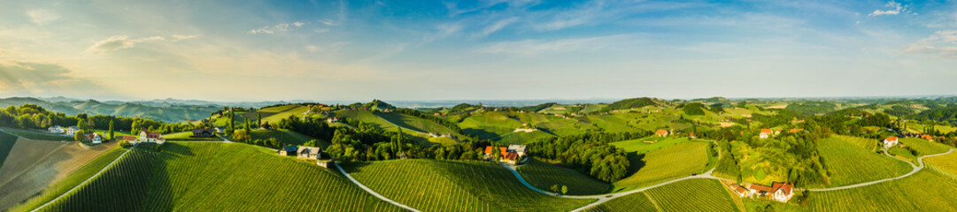 Fototapeta na wymiar South styria vineyards aerial panoram landscape, Grape hills view from wine road in spring.
