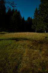 Landscape in Bavaria