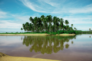 praia de sâo bento maragogi alagoas