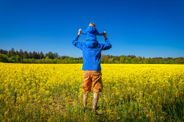 Father and son from behind, are looking over a beautiful yellow rapeseed field at springtime, happy family scene of a men unit.