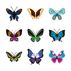 Fototapeta na wymiar bundle of butterflies set icons