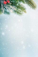 Christmas background with branch and ornaments