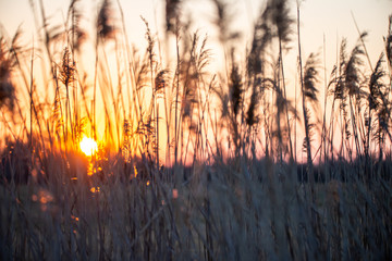 Wschód słońca © Krzysztof