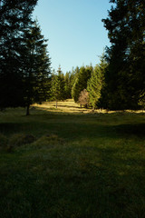 Landscape in Bavaria