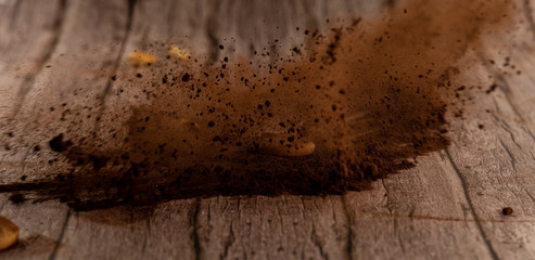 tempesta di cacao