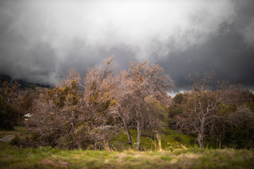 Sequoia Nationapark