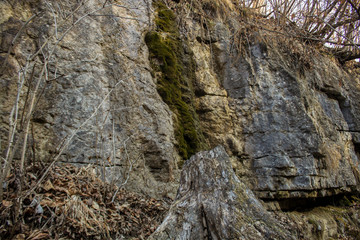 Fototapeta na wymiar dry log by the cliff