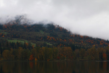 Autumn in Oregon