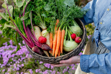 Woman holds a basket with vegetables in garden