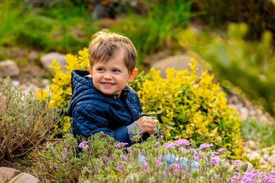 Little Todler Playing With Flowers In The Garden