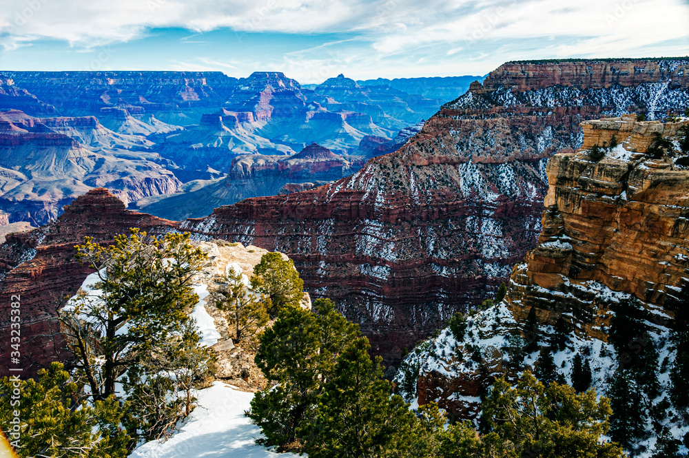 Canvas Prints  North Rim of the Grand Canyon Arizona USA