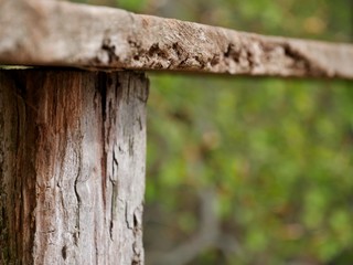 Holzbalken verrottet