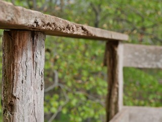 Holzbalken im Naturschutzgebiet