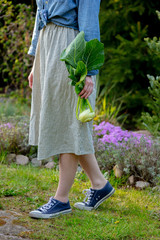 Woman hold in a hand a fresh kohlrabi in a garden