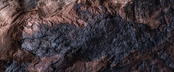 abstract texture of petrified wood with cracks and fractures, grunge abstract texture of natural origin