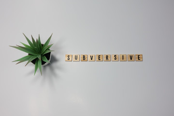 The word Subversive written in wooden letter tiles on a white background.