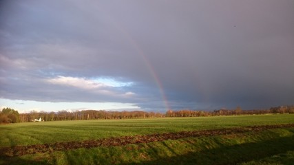 rainbow over fields