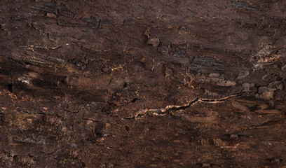 abstract texture of petrified wood with cracks and fractures, grunge abstract texture of natural origin