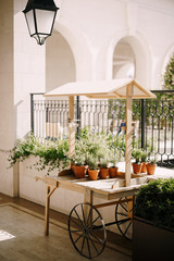 Cart with flowers in pots, against the background of the fence and white walls