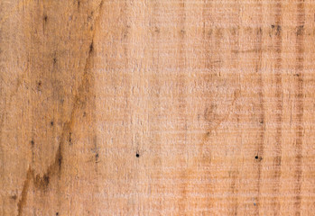 WOODEN TEXTURE FROM A TROPICAL TREE