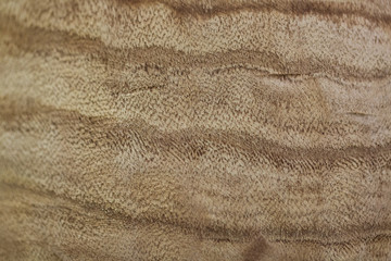 Shades of brown wavy patterns art on a wall