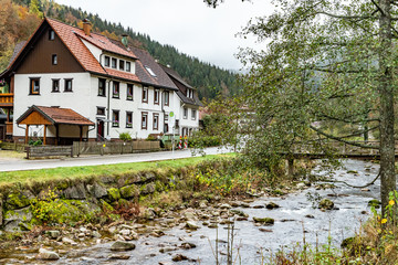Fototapeta na wymiar River and houses in a rainy day in Schönmünzach