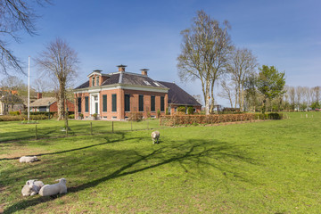 Sheep in front of an old farm in Finsterwolde, Netherlands