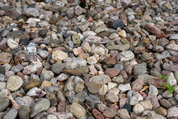 stones laying on the ground