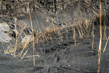 Black Sand 1