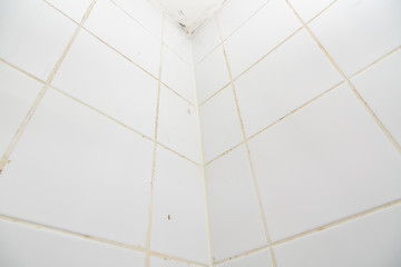 Mold or fungus of the wall in the Shower room causing black or brown mold in the bathroom or toilet room caused by the hot water and accumulation of bacteria. - obrazy, fototapety, plakaty