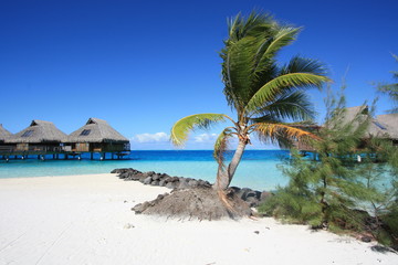 Beach with white sand and coco palm travel tourism wide panorama background concept with over water bungalows.