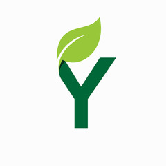leaf with letter y vector logo