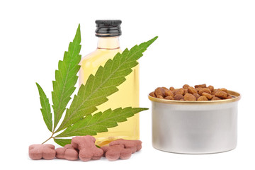Cannabinoid CBD oil is used as dietary supplement. Green hemp leaf. Marijuana products isolated...