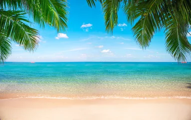 Fototapeten tropischer Strand mit Kokospalmen © Alexander Ozerov