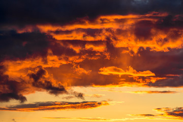 Clouds illuminated at sunset by fiery yellow sunlight
