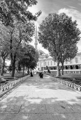 Fototapety na wymiar - Fototapeta24.pl