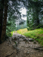 Trekking in the Kościeliska Valley, Tatra mountains.