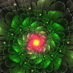 Dark green fractal flower, digital artwork for creative graphic design - 343252164