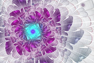 Purple fractal flower, digital artwork for creative graphic design - 343252166