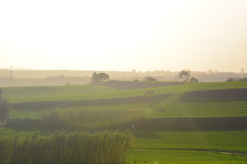 Nature landscape in Montseny