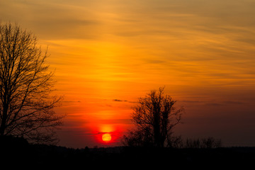 The bright red sun sets over the horizon. Red yellow sunset
