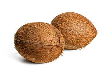 Two brown coconut trees on a white background