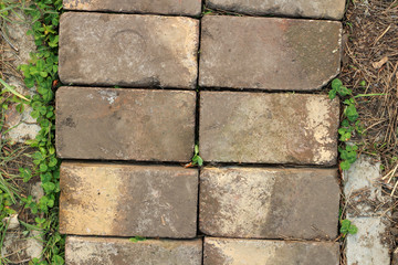 Texture pattern of old paved bricks with green grass around the edges