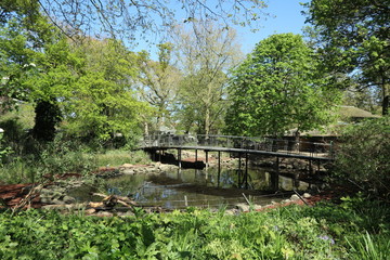 Fototapeta premium view of sun lighted lush greenery, Amsterdam zoo park