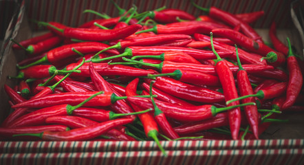 red hot chili peppers