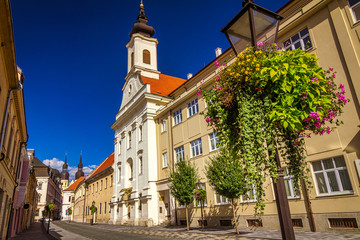 Obraz premium St. Anne's Church in Trnava town, Slovakia, Europe.