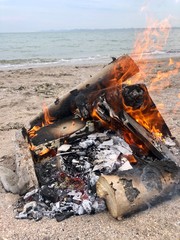 bonfire on the sand by the sea