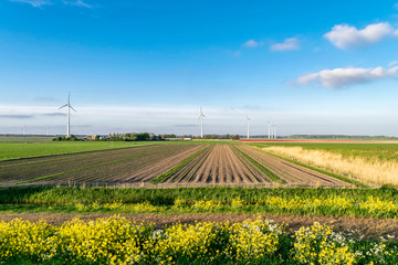 Fototapeta na wymiar Bright blue sky, windmills, arable land and green fields on the open horizon in a panoramic summer landscape. Yellow rape blossoms against a background of sunny spring nature.