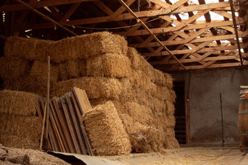 Una vieja bodega anteriormente usada como un gallinero. ahora almacena paja y algunas maderas. A la derecha se puede ver parte de un barril. © Nacho